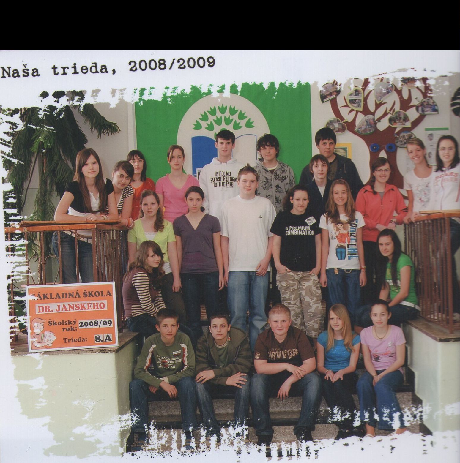 8A.jpg